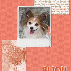Bijou