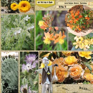 flowers - Historic Botanical Gardens of Barcelona