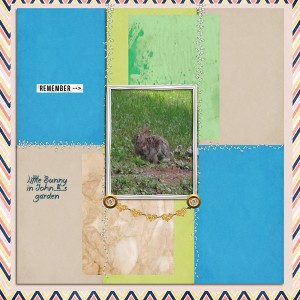 ss 6_11 bunny