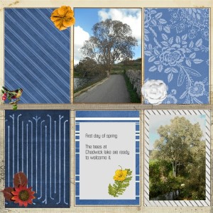 spring  trees