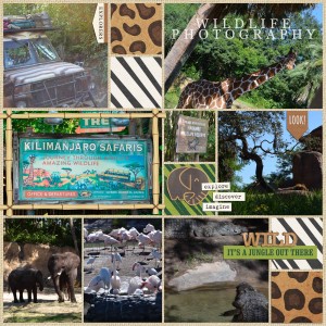 Animal Kingdom 3