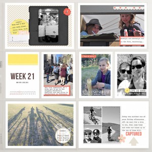 PL2015 - Week 21