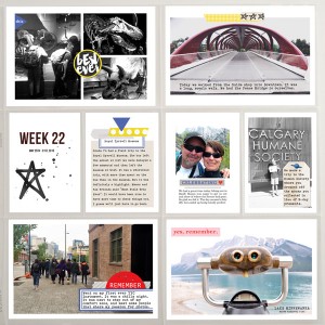 PL2105 - Week 22