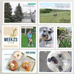 PL2015 - Week 23