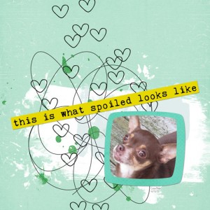 This is What Spoiled Looks Like