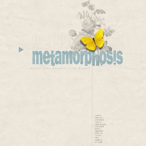 Metamorphosis
