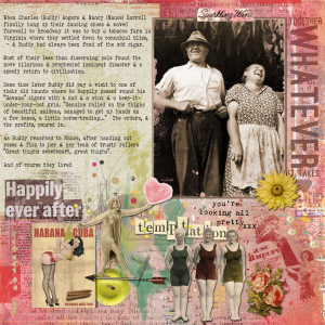 Cock & bull story July 2015