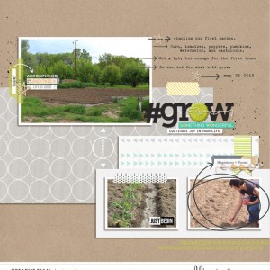 The Garden