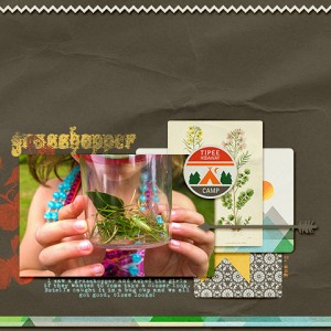 Grasshopper