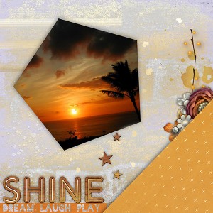 ms-shineon