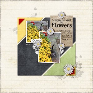 Stop & Smell the Flowers (temp challenge)
