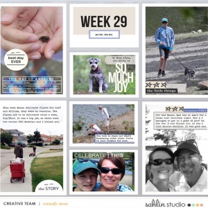 PL2015 - Week 29