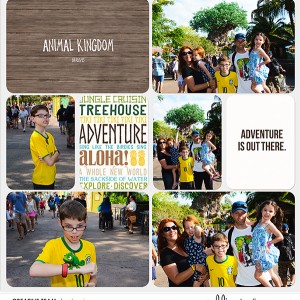 Animal Kingdom