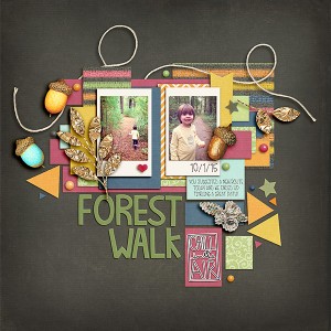 Forest Walk