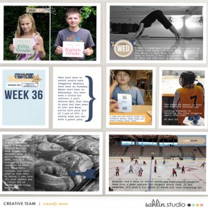 PL2015 - Week 36