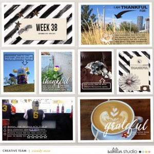 PL2015 - Week 38
