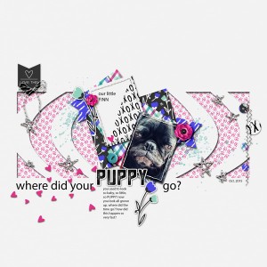Where did your PUPPY go?