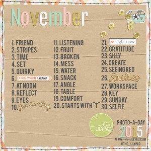 November Photo-a-day