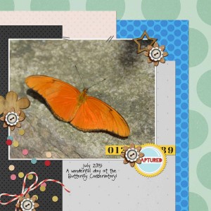NSD_Nov_2015_Slow_scrap_6