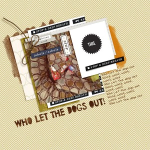 Who let the dogs out