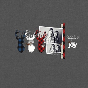 Goodbye December