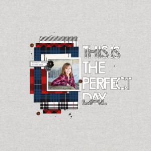 Perfect Day