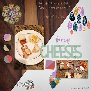Fancy Cheeses