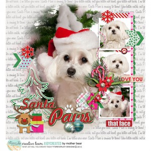 Santa Paws
