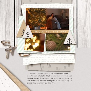 LV-TLP-1512Dec-05Template-WEB