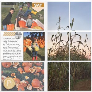 PL 2015 - Week 46 Insert