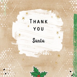 Thank you Santa