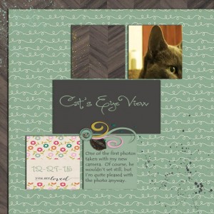 Cat's-Eye-View