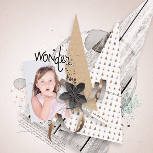 Wonder