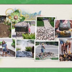 Making a Pond