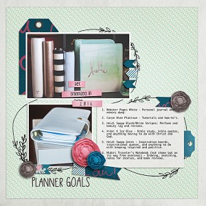 Planner Goals 2016MOC-2