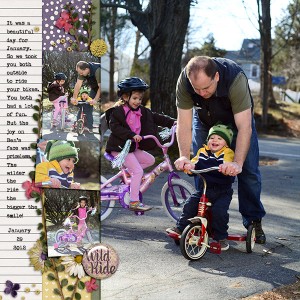 2012-0129-WildRide600