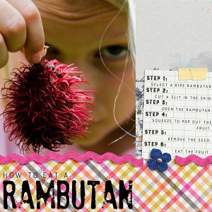January03_Text_Rambutan