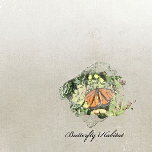 Butterfly-Web