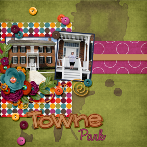 Townepark_060212sm
