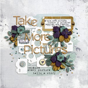 Take More Pictures