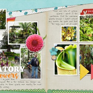 Conservatory of Flowers