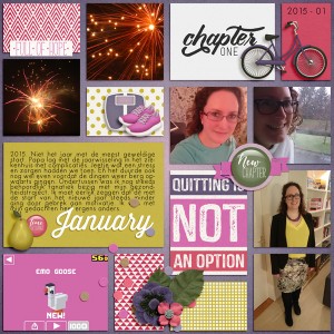 Reflections: January 2015