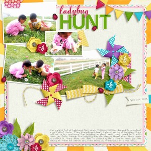 Ladybug Hunt