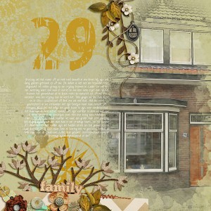 29