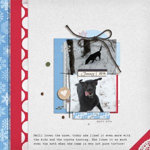 Nelli-snow
