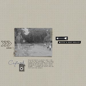 Plantation-living_Charleston