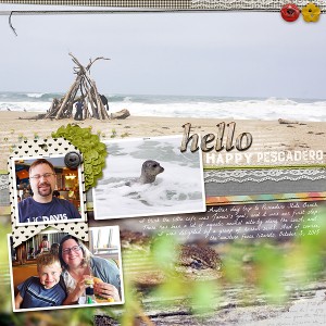 Pescadero State Beach