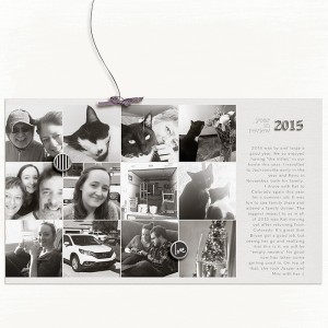 Lisa MOC 26 2015 Review