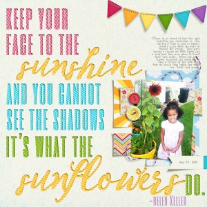 Sunflower