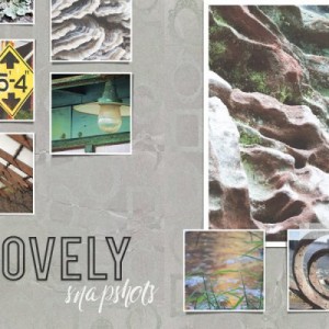Lovely Snapshots Double